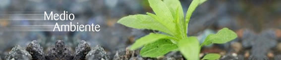 Medioambiente